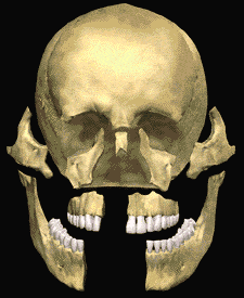facial injuries treatment